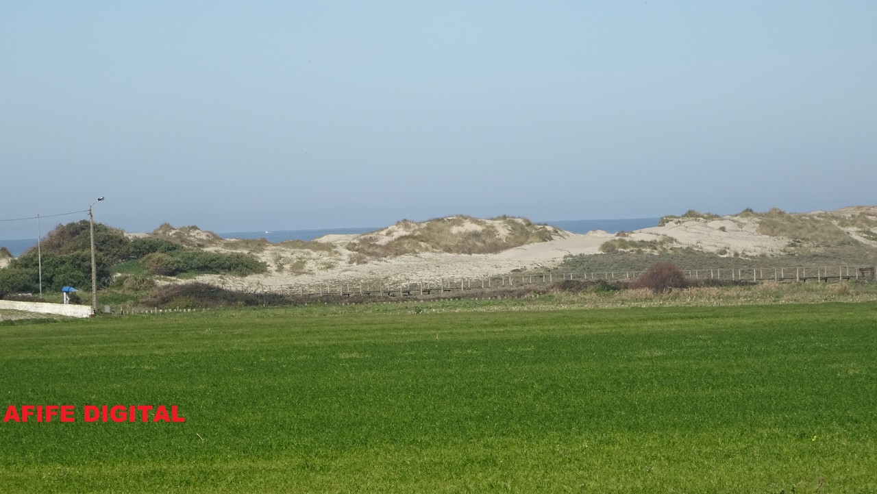 DSC04170.JPG DSC04170.JPG