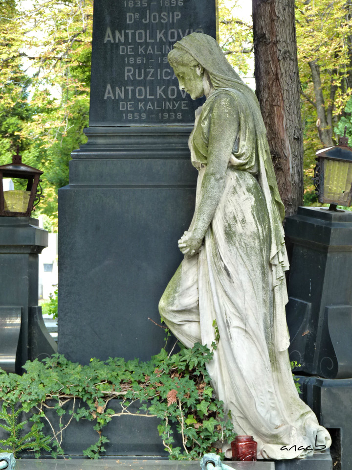 P1370965 cópia assin.jpg