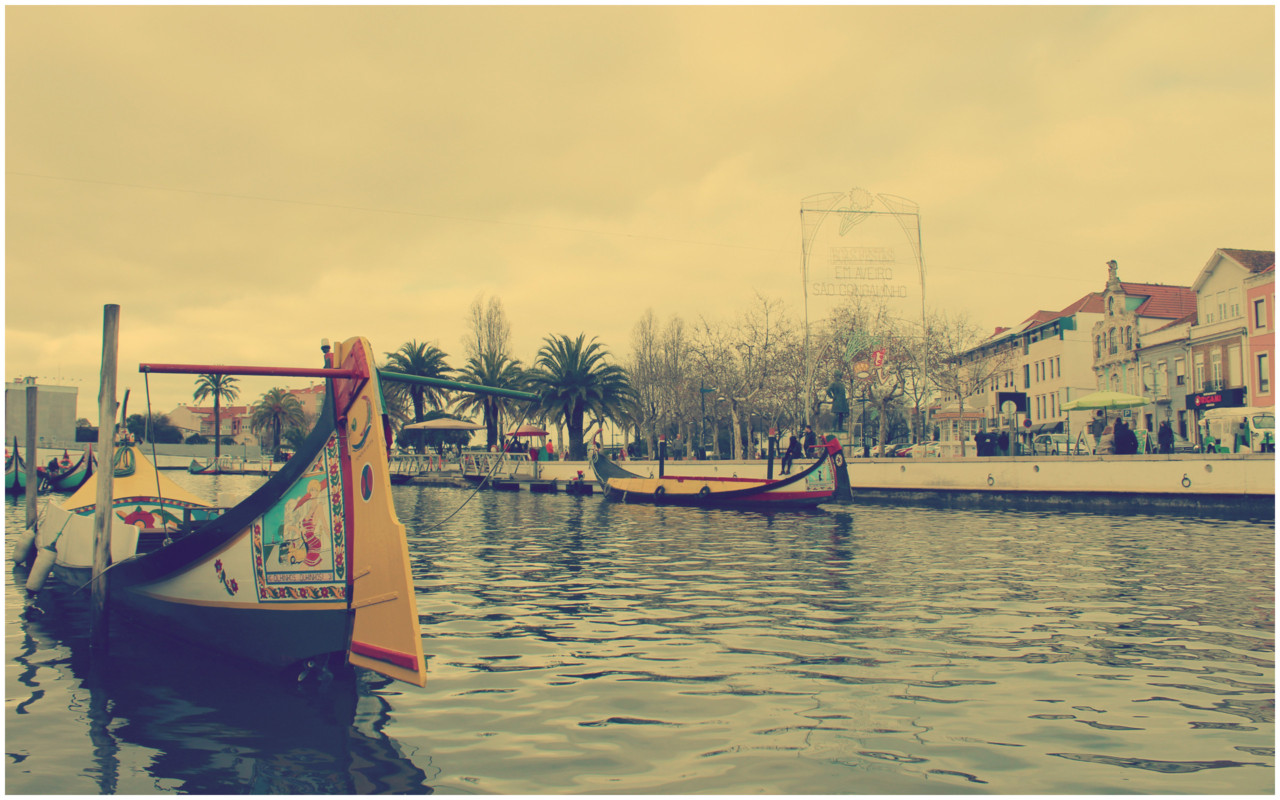 Sal Poente & Moliceiro