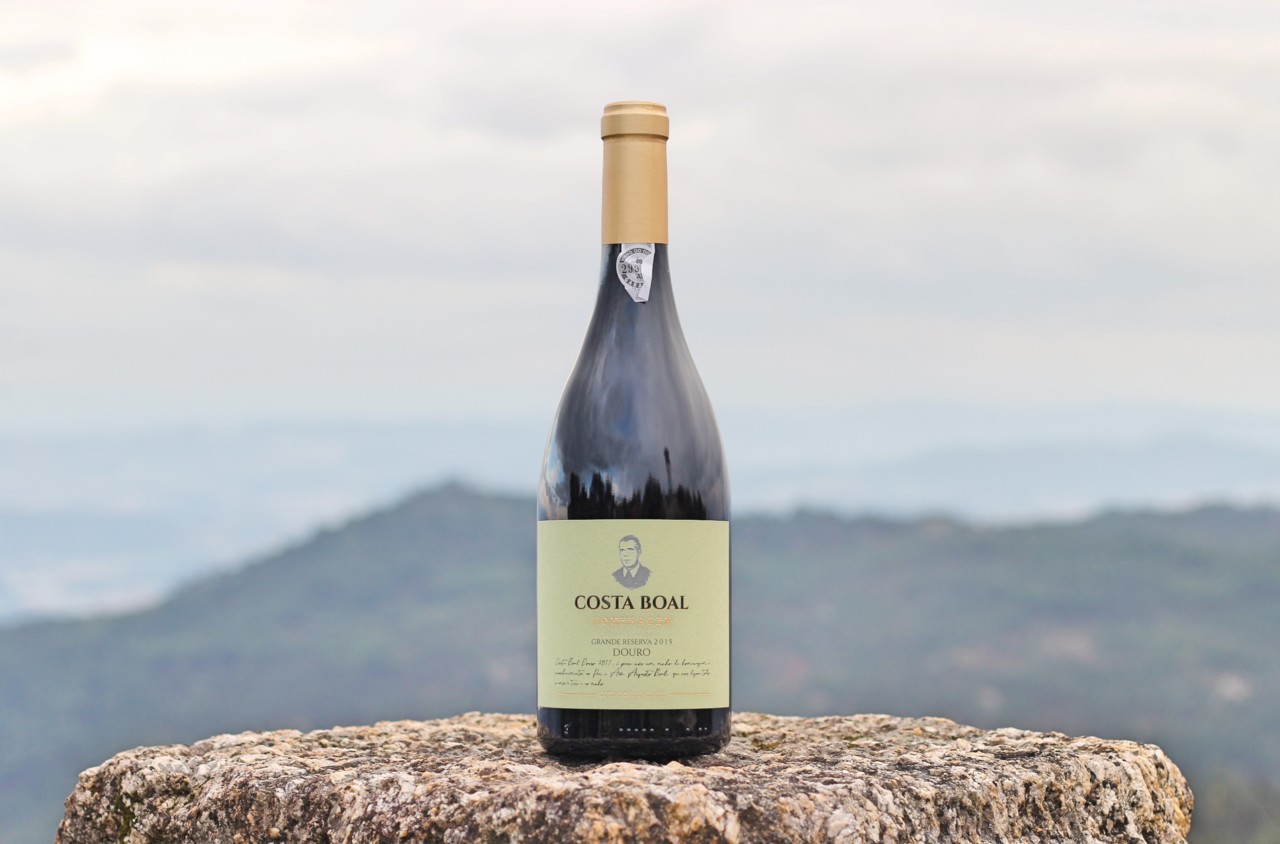 Novas colheitas Costa Boal