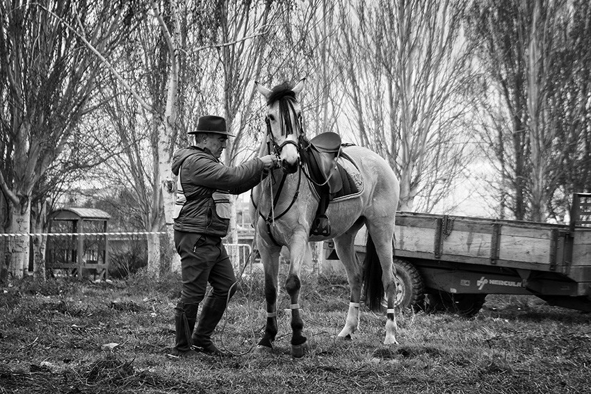 DSCF1724 - cópia copy.jpg