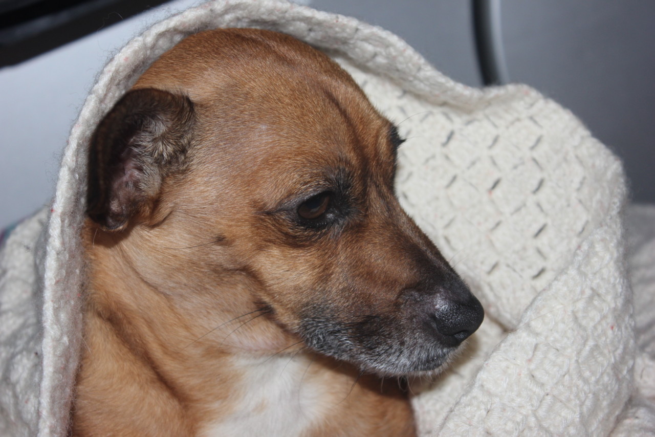 IMG_1371.JPG IMG_1371.JPG