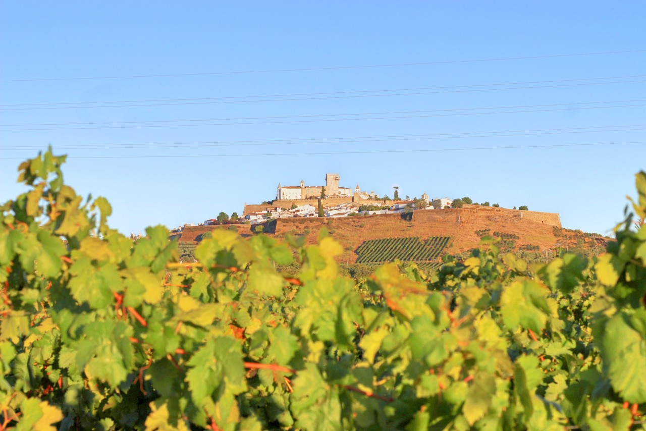 Pateo dos Solares Charm Hotel