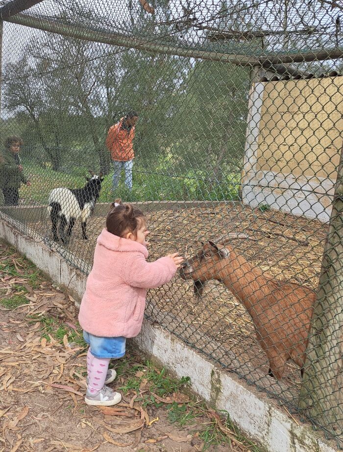 5 tostões de gente9.jpg