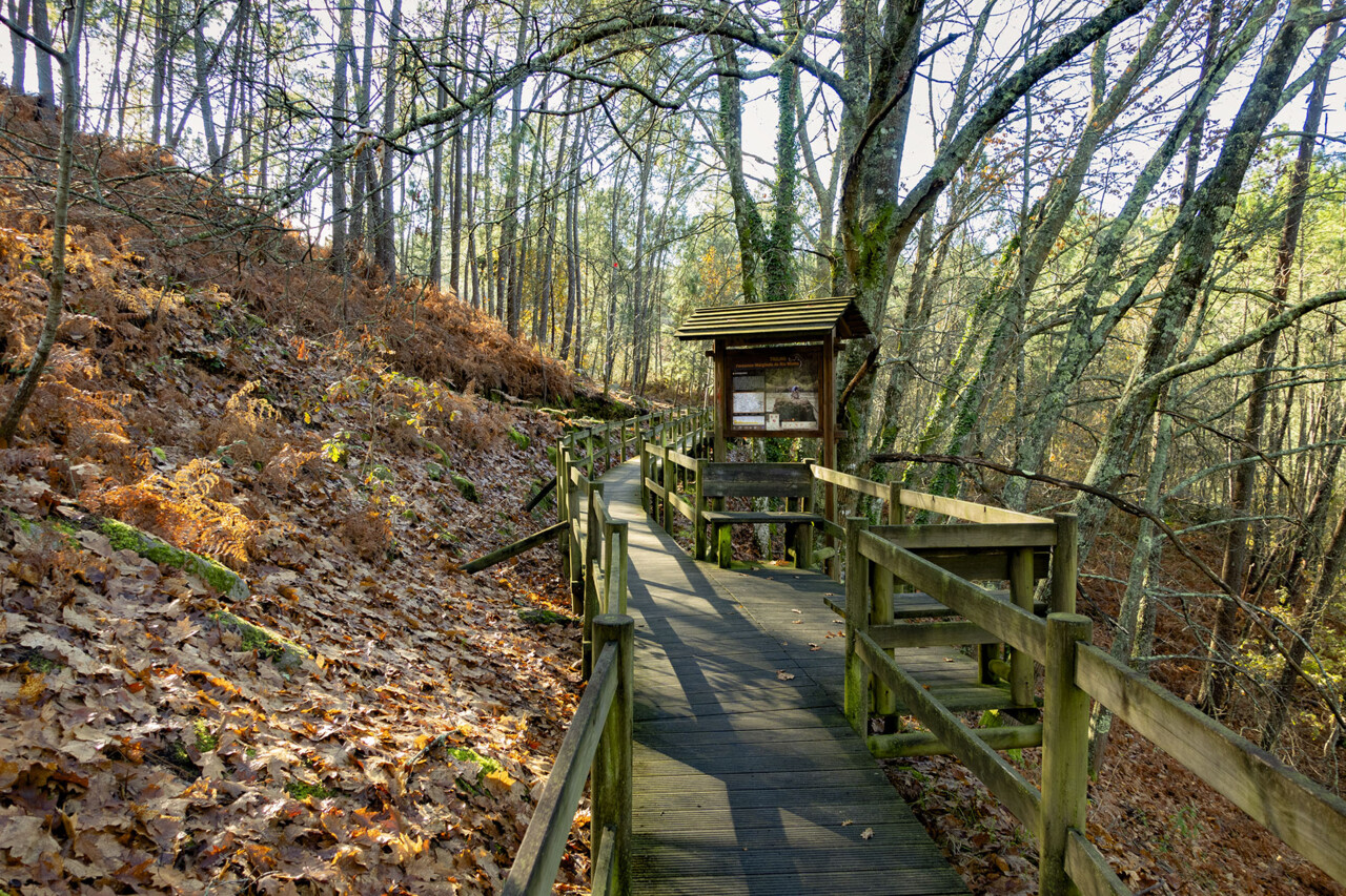 Passadiço Melgaço.jpg
