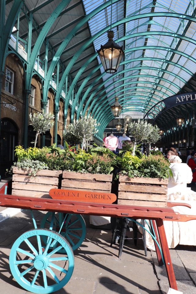 IMG_2962.JPG IMG_2962.JPG