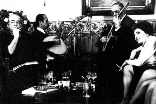 Amália vini.jpg Amália vini.jpg