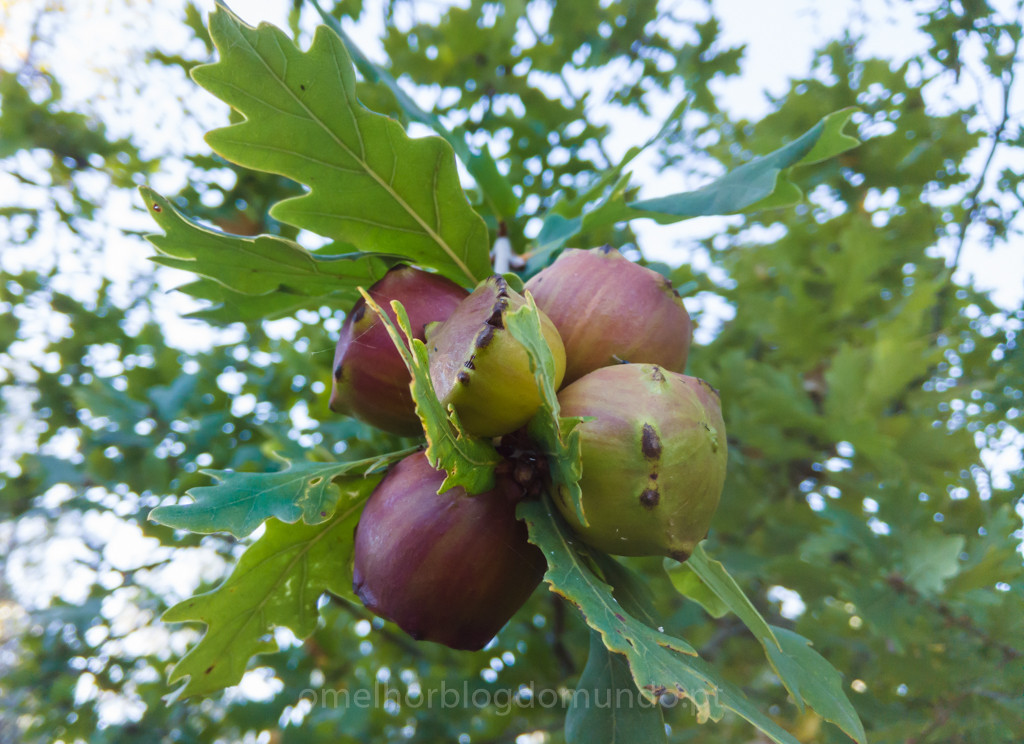 IMG_20171029_155222.jpg IMG_20171029_155222.jpg