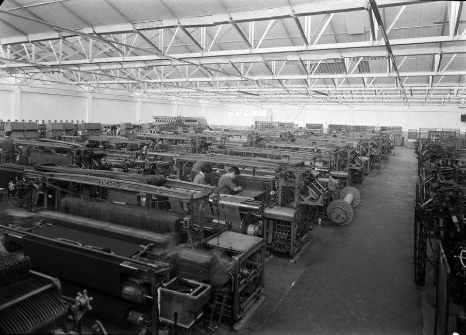 26229829_10204112571931028_4456034759804338581_n.j 26229829_10204112571931028_4456034759804338581_n.j