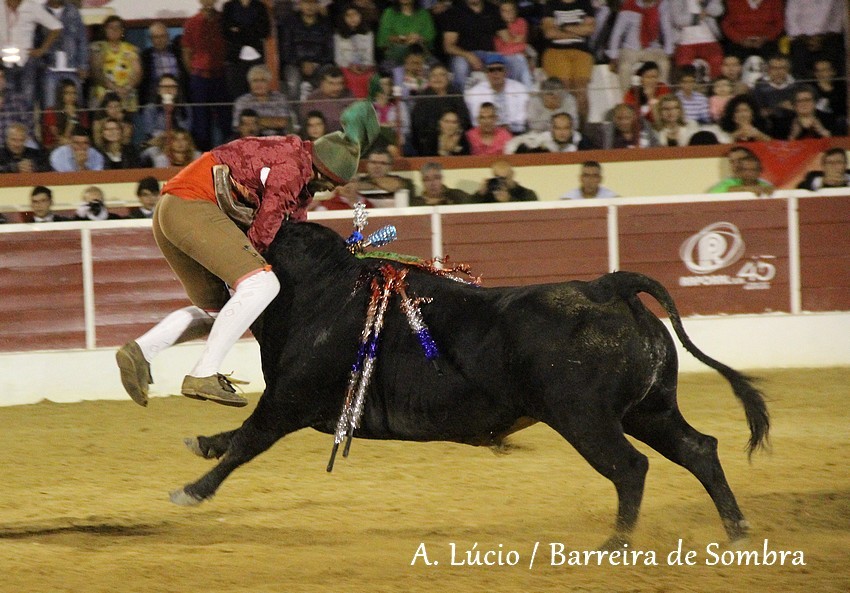 IMG_6901.JPG IMG_6901.JPG