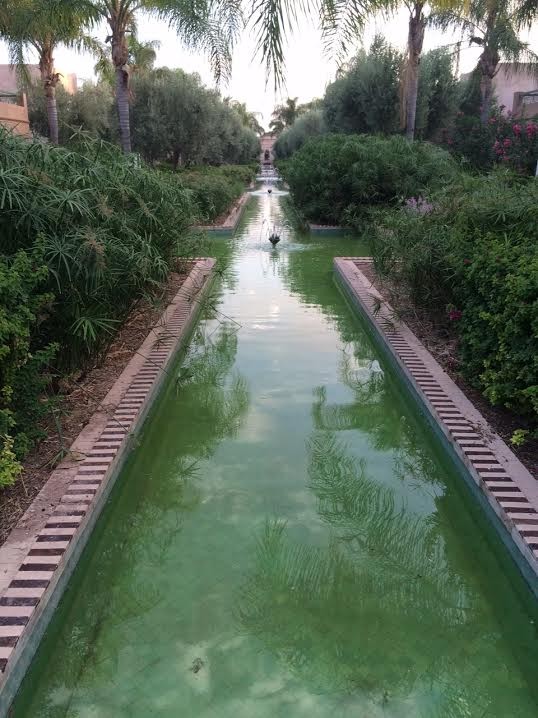 Club Med Post 2 (8).jpg