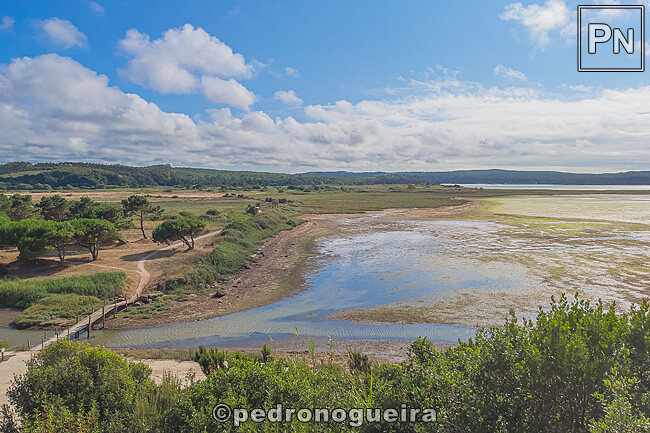 Jul_2025_014 650px.jpg