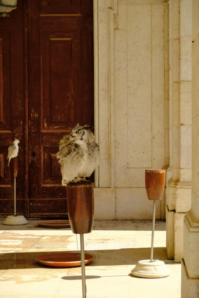 DSCF1209.jpg DSCF1209.jpg