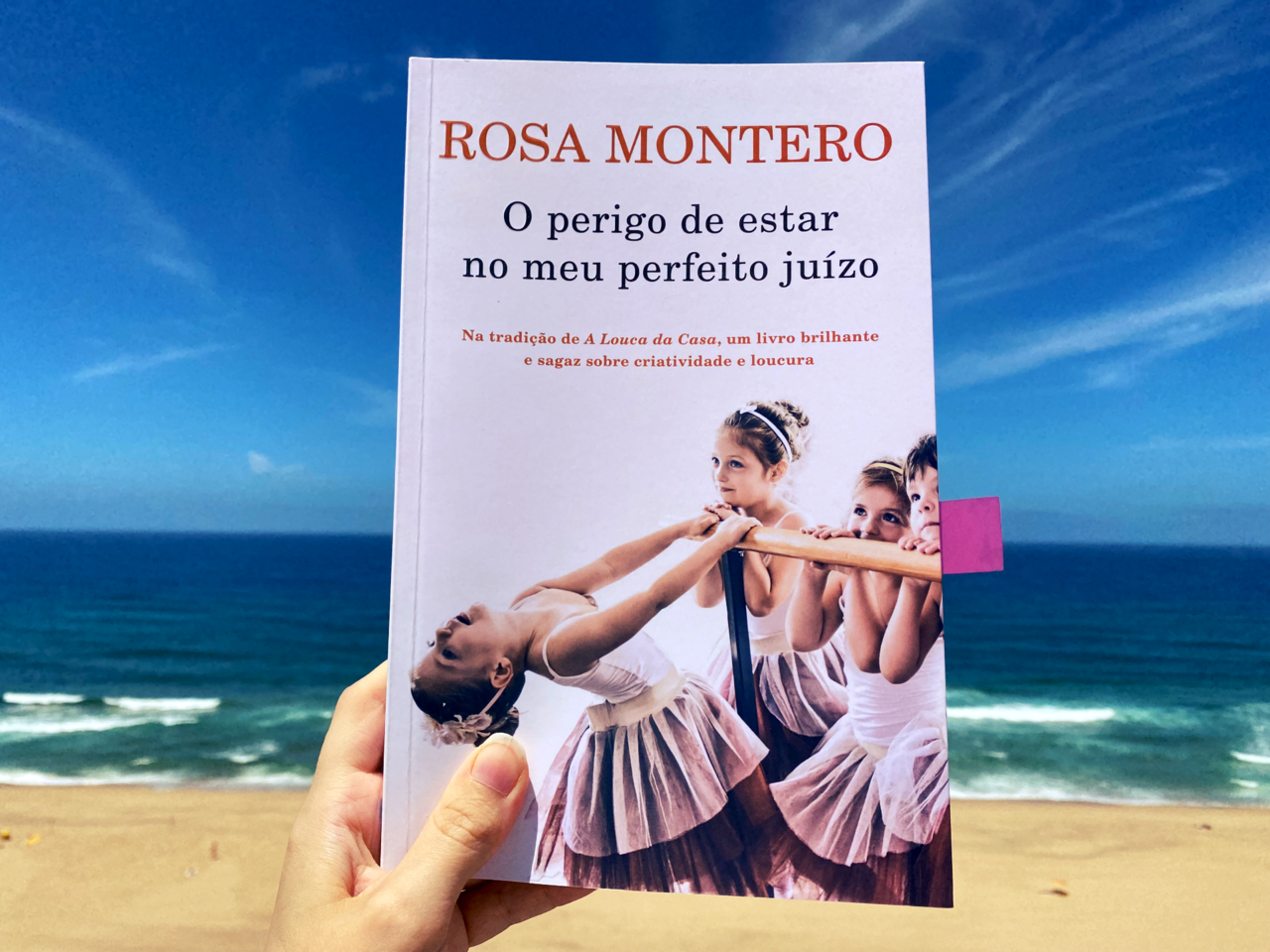 rosa-montero-o-perigo-de-estar-no-meu-perfeito-jui
