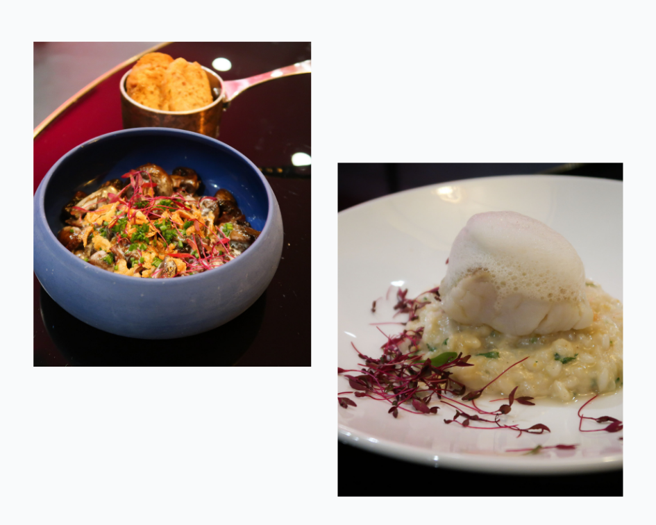 MAXIME-1.png MAXIME-1.png