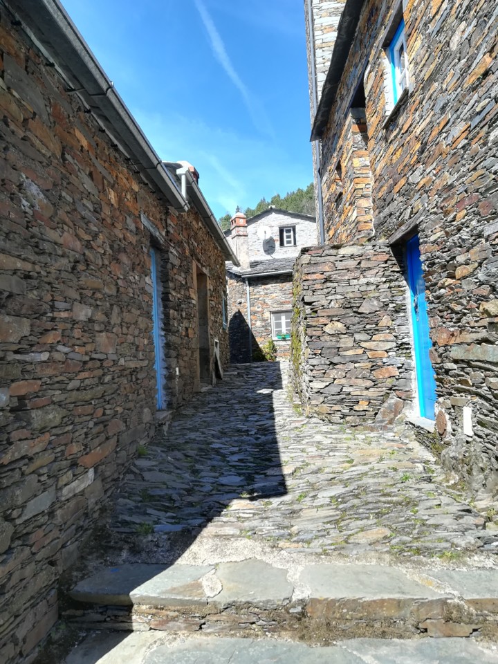 IMG_20190427_155122.jpg