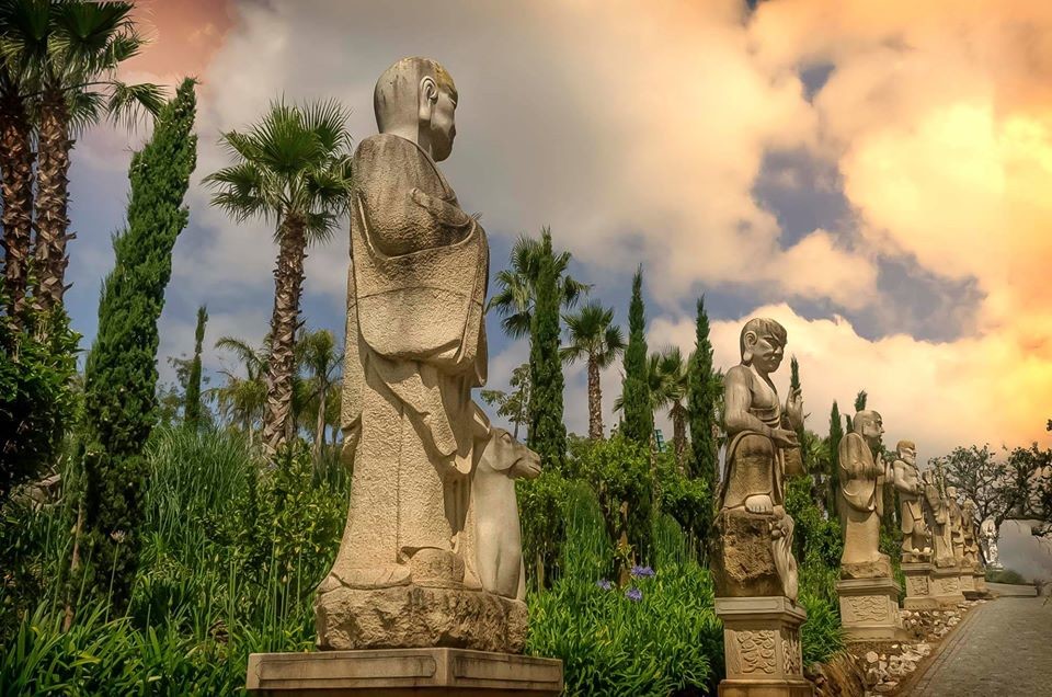 14231858_1807085716205933_7573615783040470751_o.jp