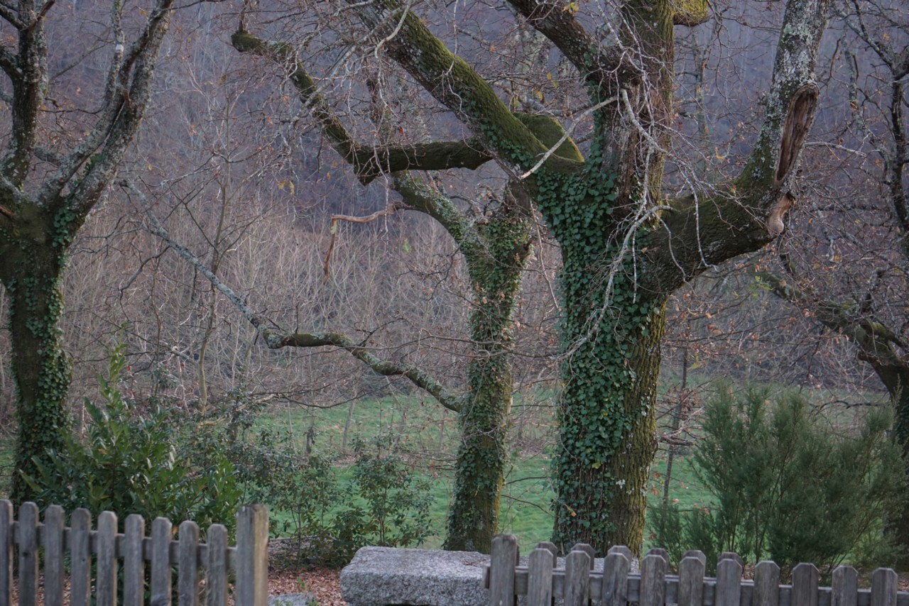 DSC02946.JPG DSC02946.JPG