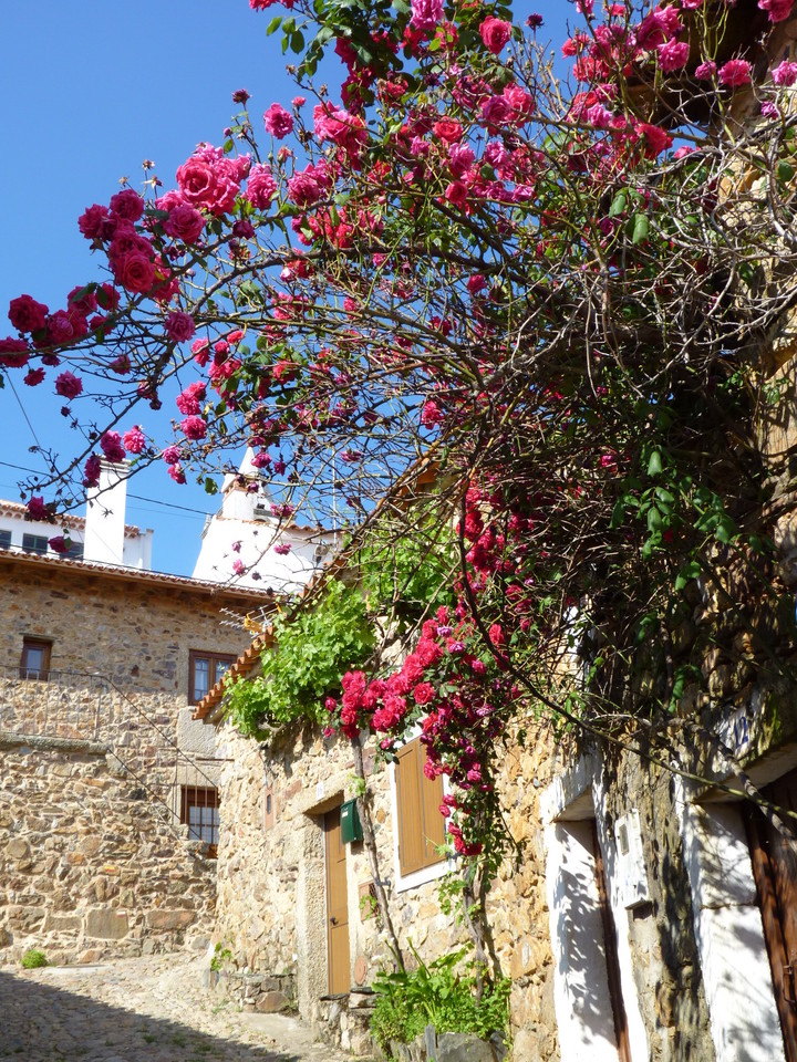 Aldeias - Penha Garcia foto 4.JPG