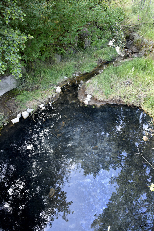 _DSC9660.JPG