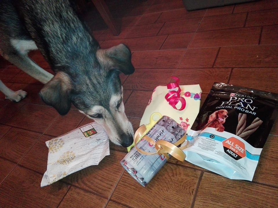 26001287_1942524042443151_3832977352157751072_n.jp