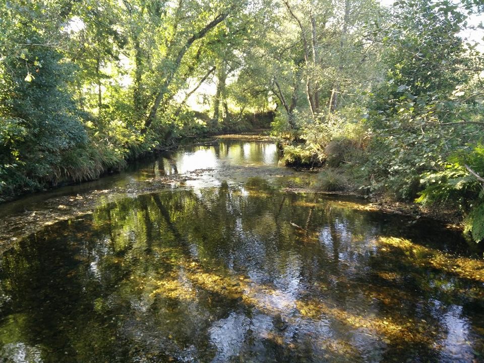 22852108_1955381151155068_1100522397729459734_n.jp 22852108_1955381151155068_1100522397729459734_n.jp