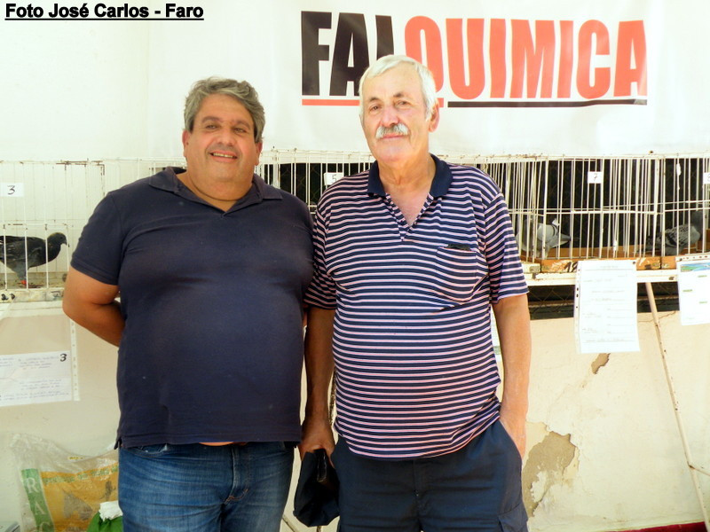 Leilão Asas Beja 2017 042.JPG