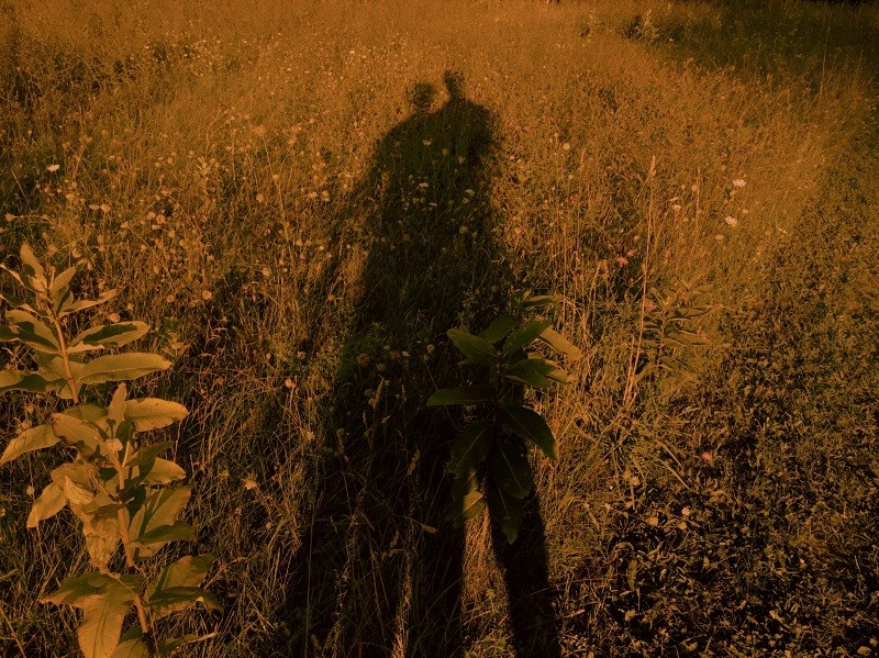 Ryan (4).JPG Ryan (4).JPG