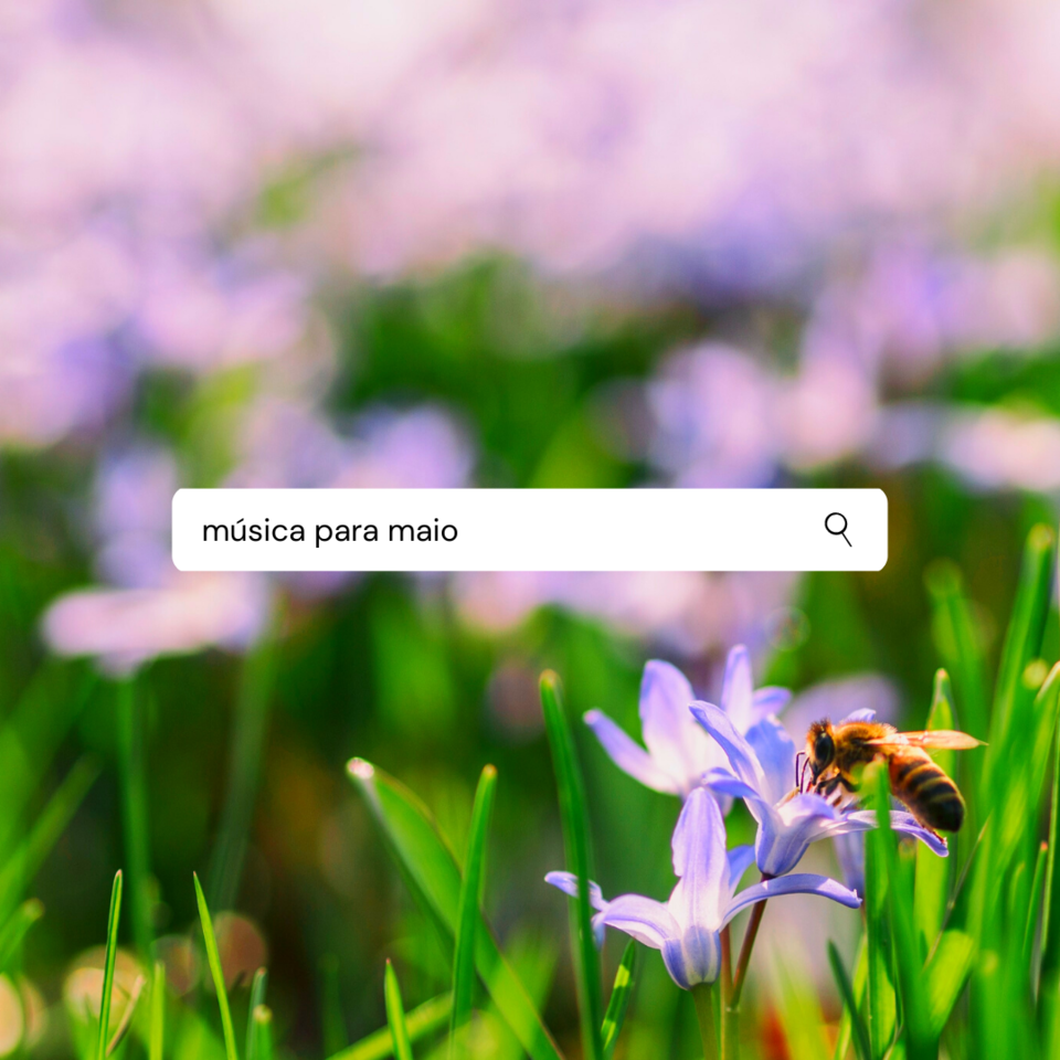 MUSICA-MAIO.png