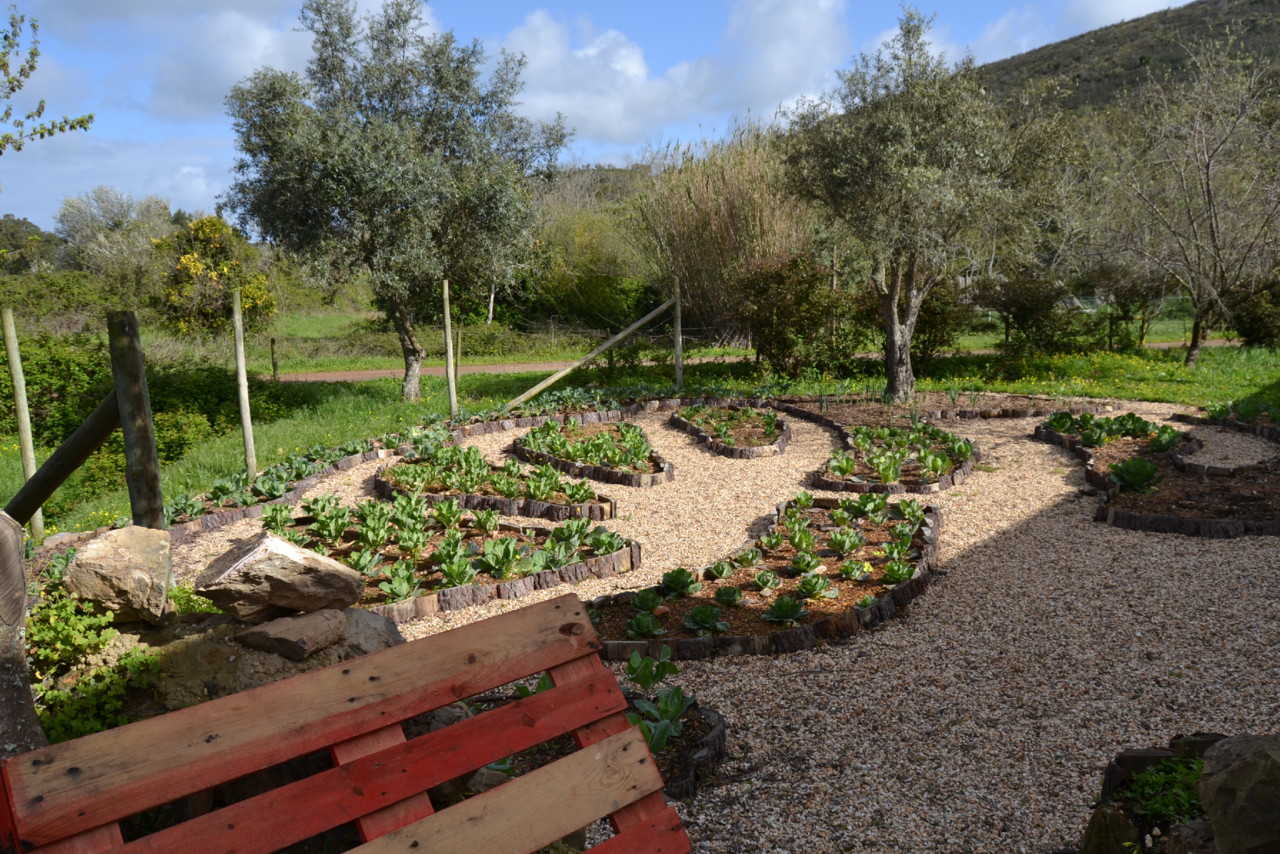 DSC_0928.jpg DSC_0928.jpg