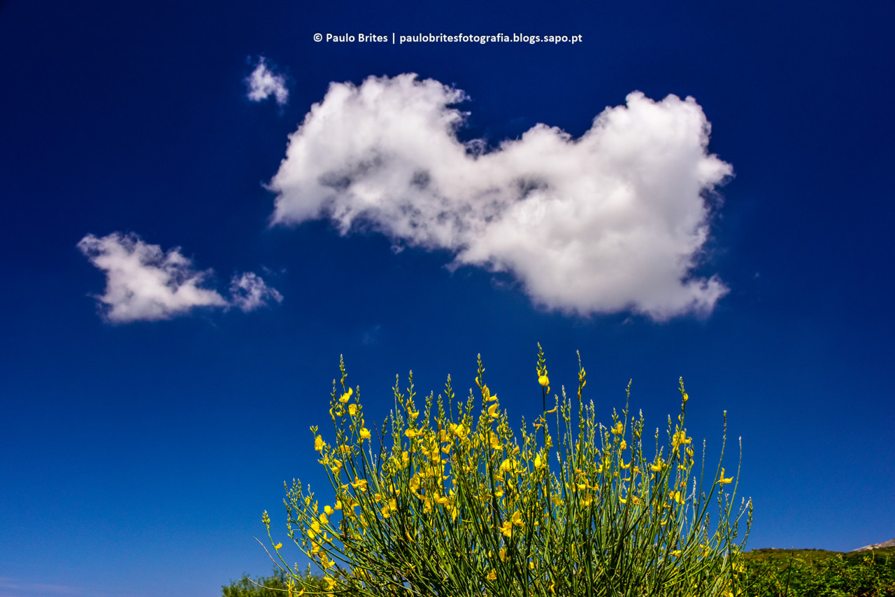 DSC_11368-1.jpg DSC_11368-1.jpg