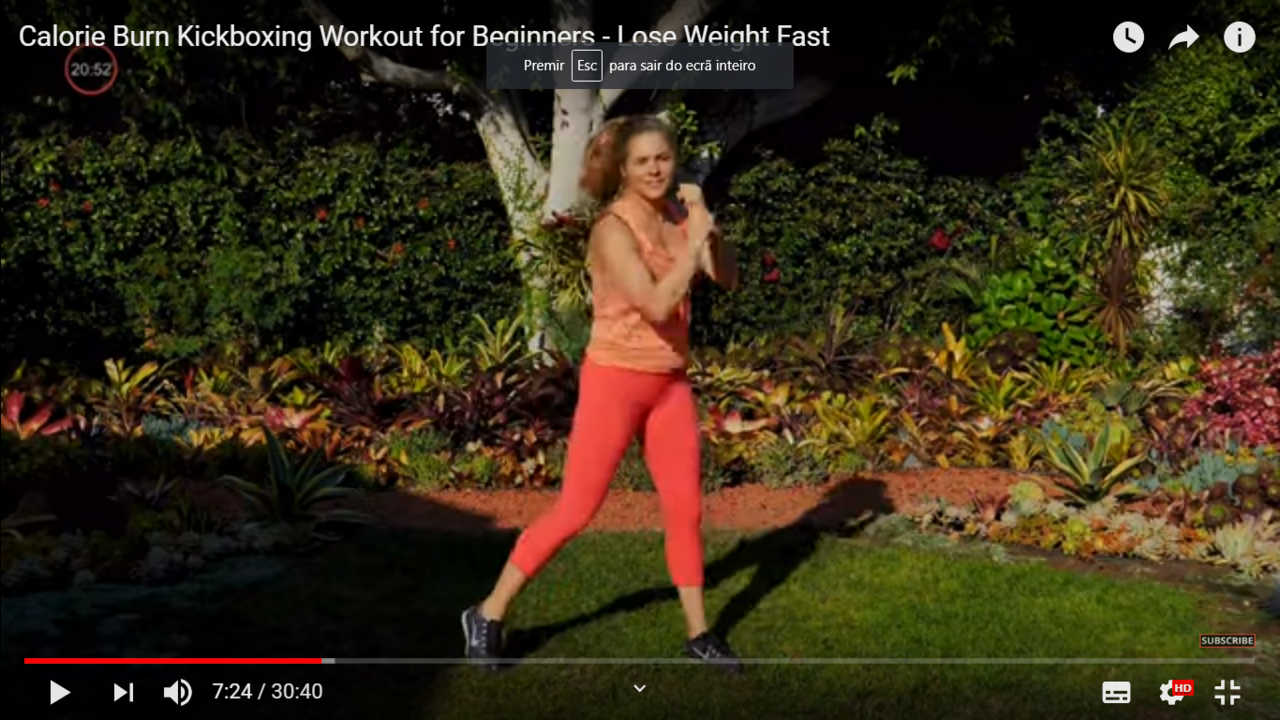 Captura de Ecrã (13).png