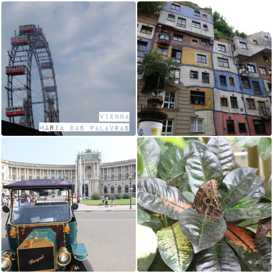 Viena, segundo dia - Maria das Palavras