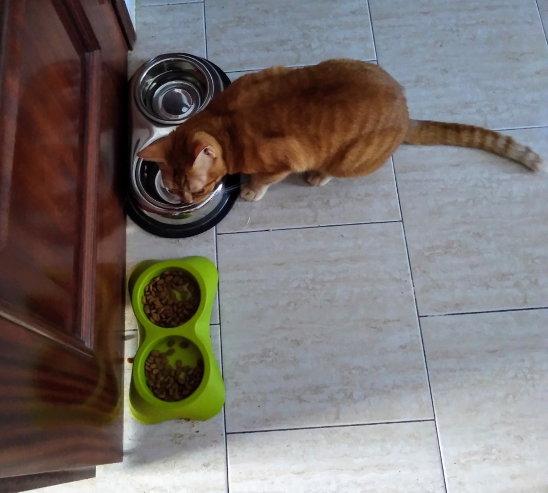 SquarePic_20201111_19363150.jpg SquarePic_20201111_19363150.jpg