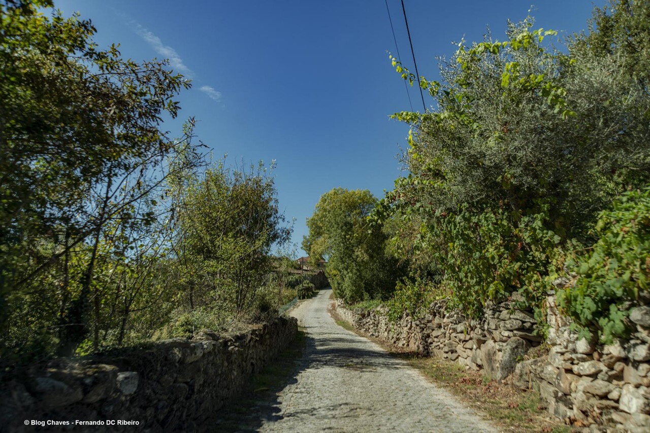 1600-ventuzelos (7).jpg