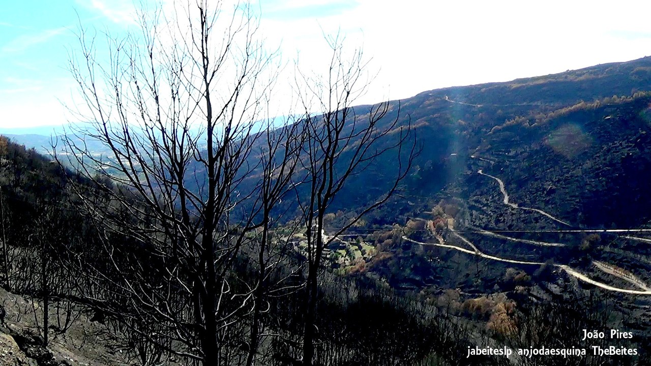 Da Nacional 18     10.jpg