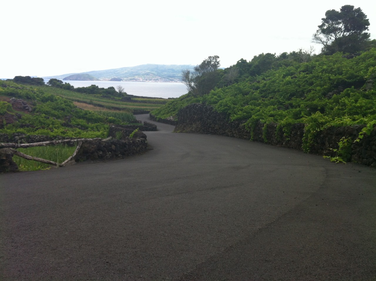 IMG_4531.JPG IMG_4531.JPG