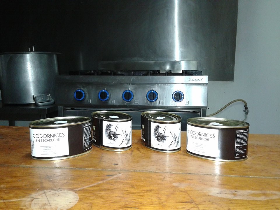 14111981_1265528183480672_564925471_n.jpg 14111981_1265528183480672_564925471_n.jpg