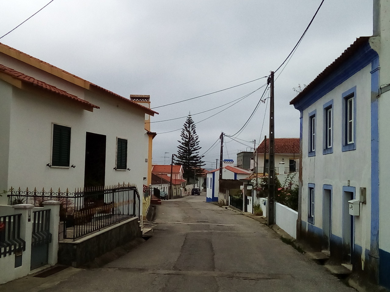 IMG_20180625_105323.jpg IMG_20180625_105323.jpg