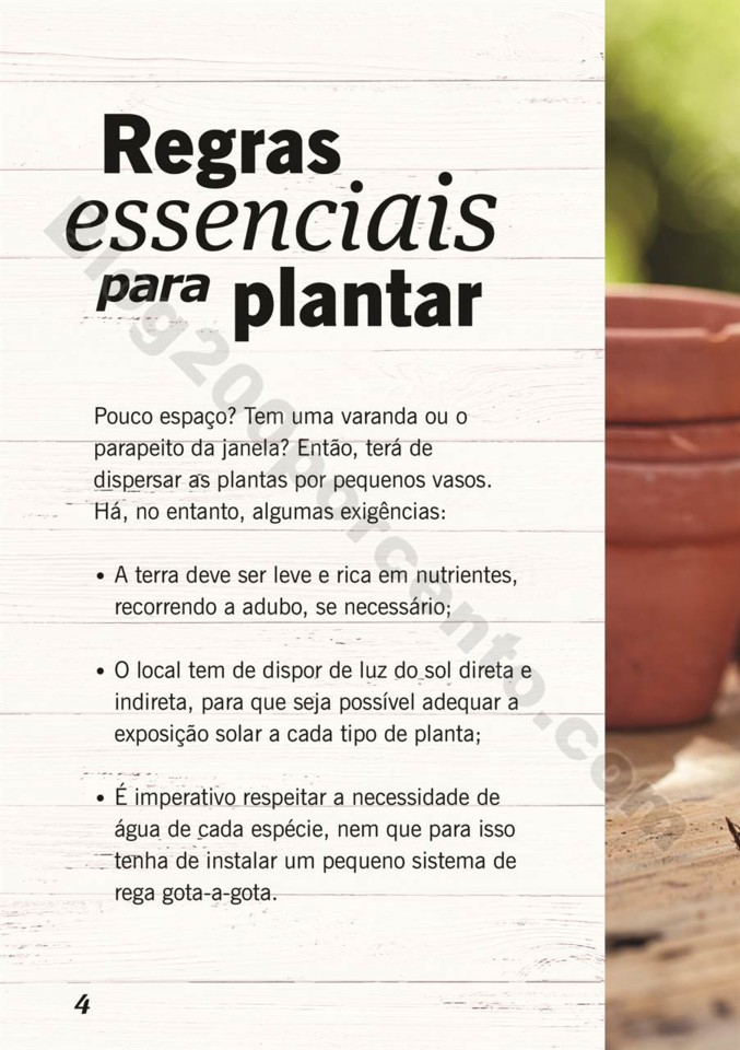 plantas_lidl_mercado_003.jpg