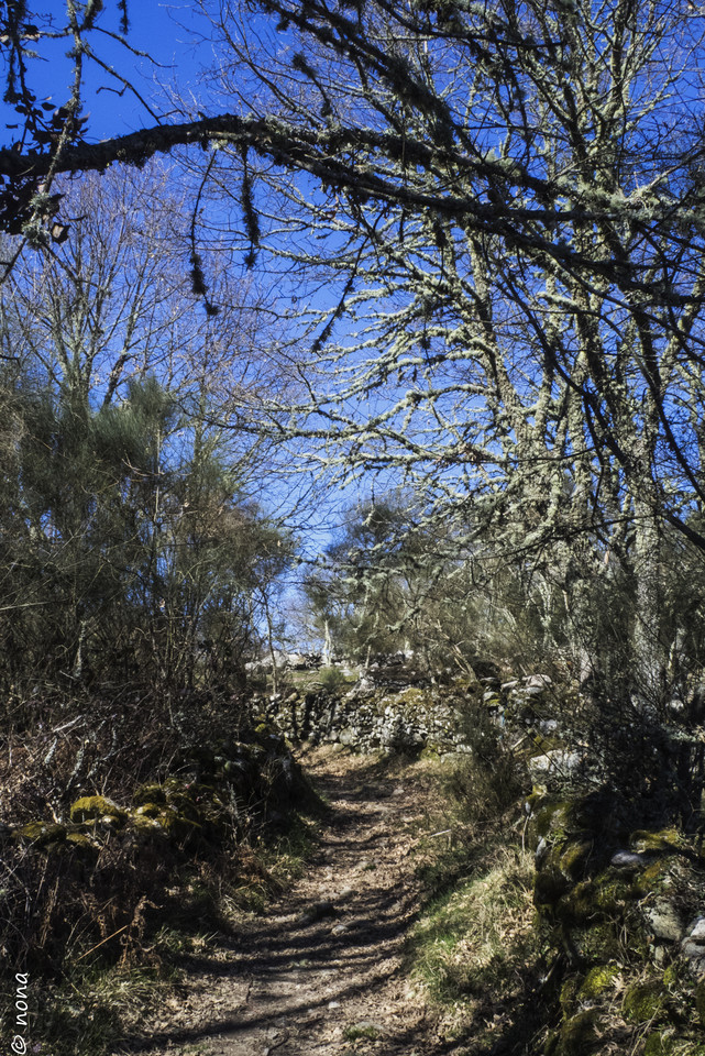 2015 - Dia da Mulher (Alanhosa) (42).jpg