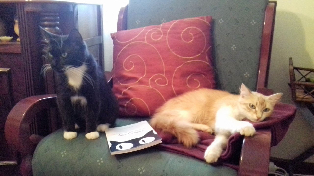 20170730_163042.jpg 20170730_163042.jpg