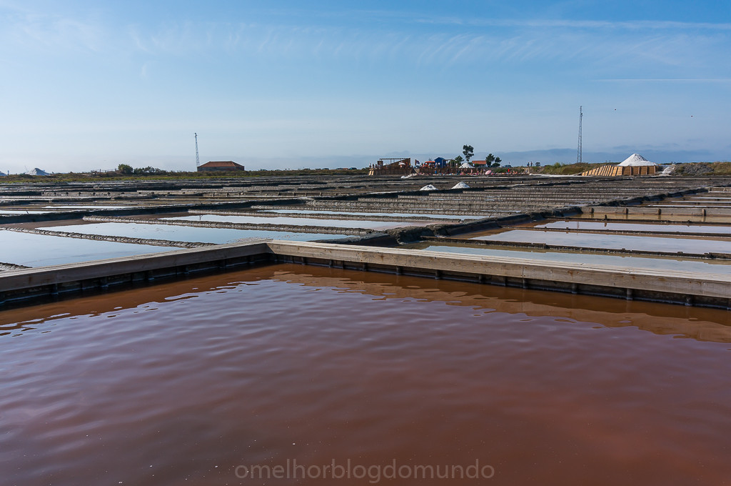 DSC05012.jpg DSC05012.jpg