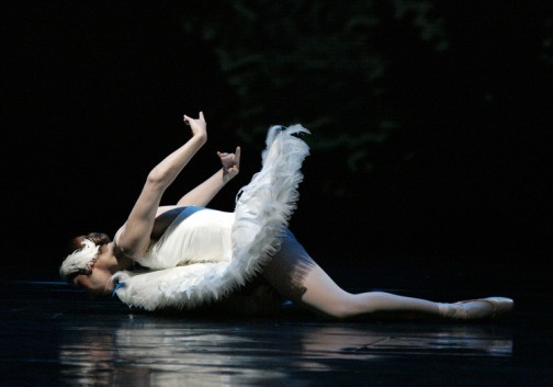 A morte do cisne.jpg