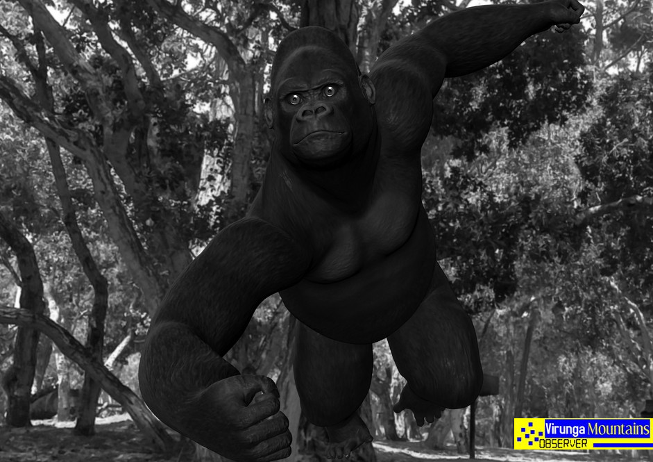 Joram Jojo Joram Jojo