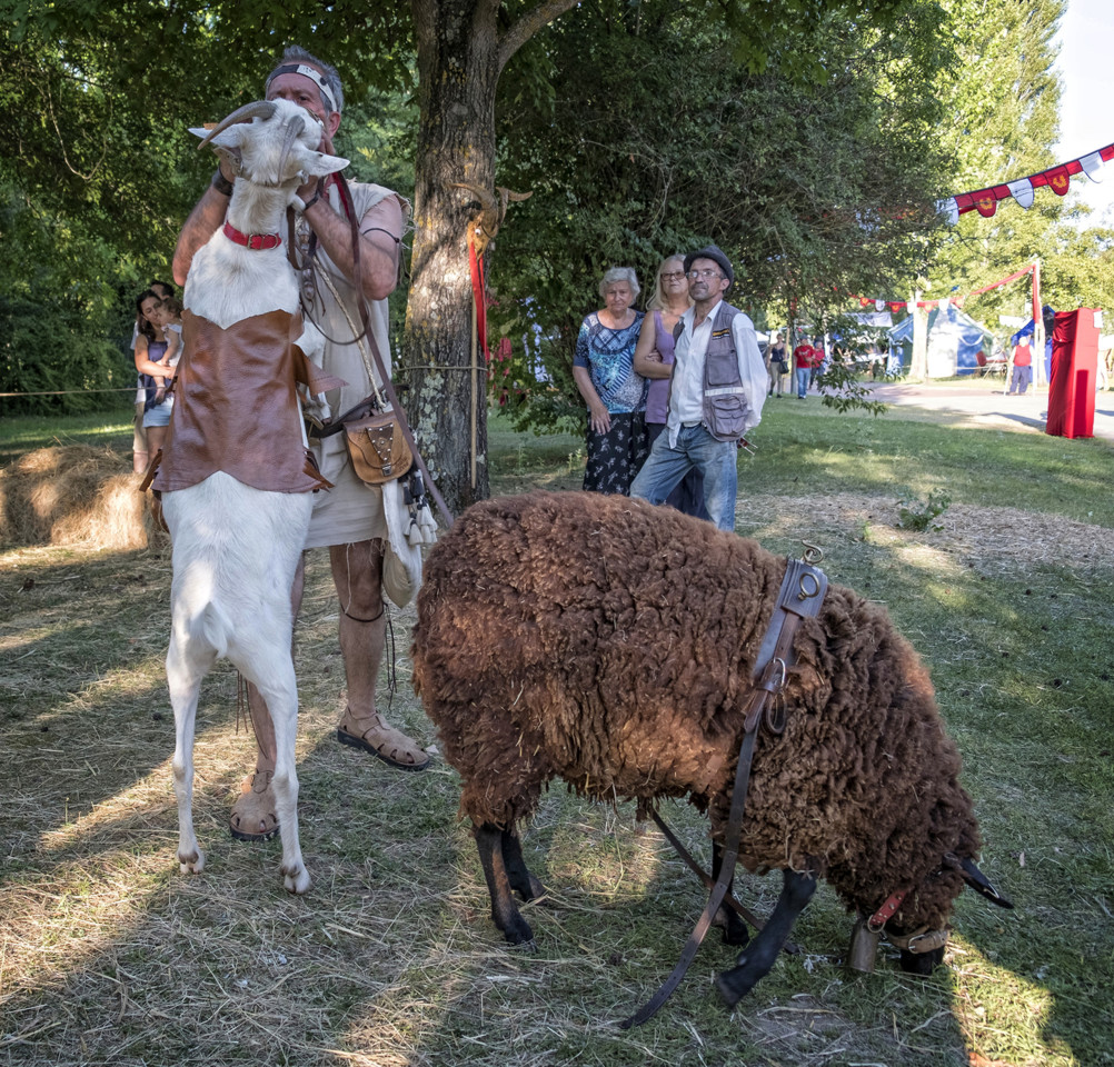 DSCF4529.jpg DSCF4529.jpg