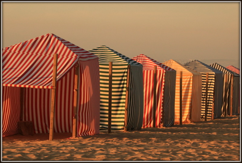 1-IMG_0195.JPG 1-IMG_0195.JPG