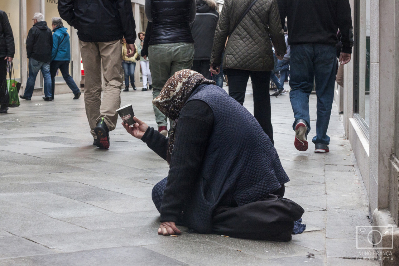 IMG_5578_net.jpg IMG_5578_net.jpg