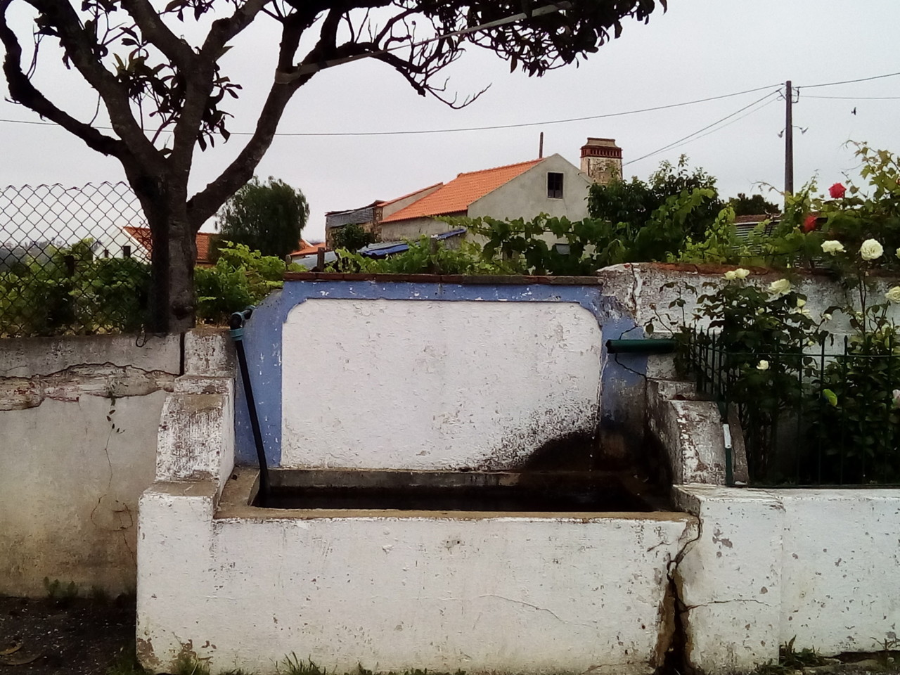 IMG_20180625_105336.jpg IMG_20180625_105336.jpg