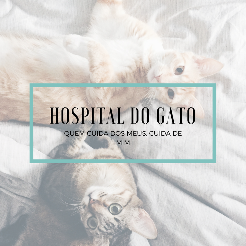 HOSPITALDOGATO-POST.png HOSPITALDOGATO-POST.png